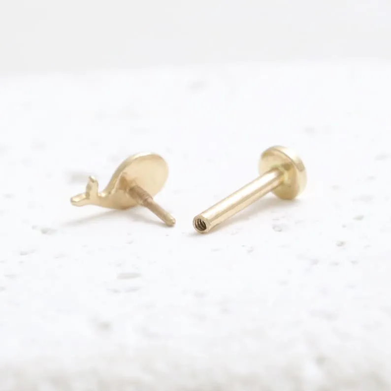 14K Solid Gold Honeycomb Cartilage Helix Tragus Conch Internally Threaded Flat Back Earring Labret