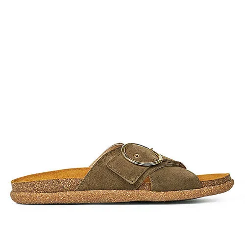 Angulus sandal