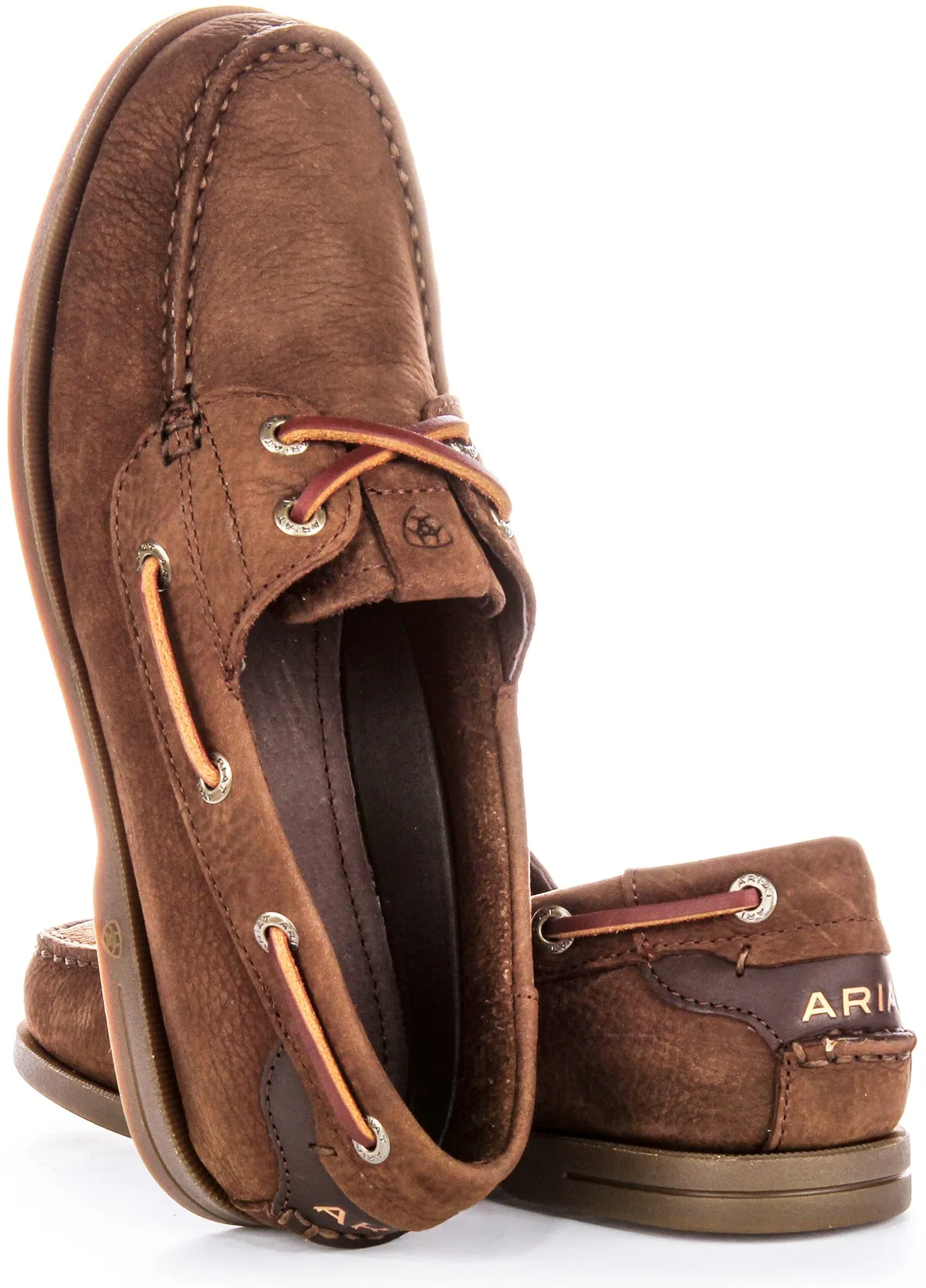 Ariat Antigua In Chocobrown For Women