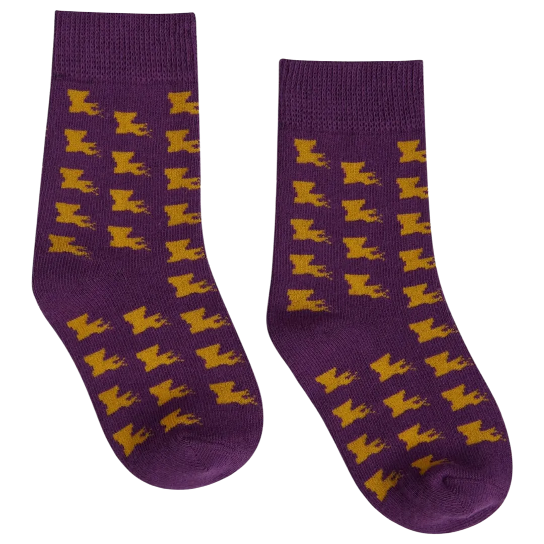 BF Socks - Louisiana