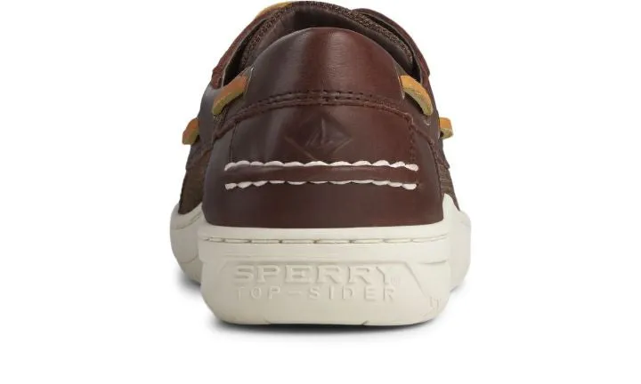 Billfish 3-Eye - Classic Brown