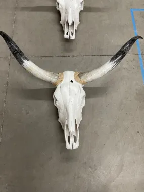 Longhorn skull  42”-21”